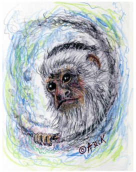 Warp Monkey art by Alan F. Beck