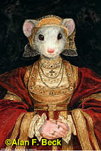 Mouse Anne of Cleves by Alan F. Beck