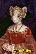 Jane Mouse Seymour by Alan F. Beck